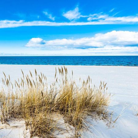ミエルノ Baltic Family Premiumヴィラ エクステリア 写真
